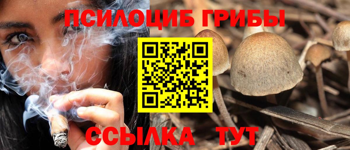 Галлюциногенные грибы мухоморы  купить наркоту  Вход с VPN  Кувандык  Галлюциногенные грибы MAGIC MUSHROOMS 